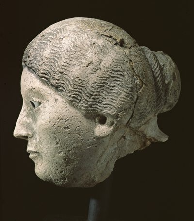 Side View of Head of a Woman, 2nd or 3rd Century AD by Roman Period Egyptian